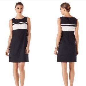 White House Black Market Dress Size 00